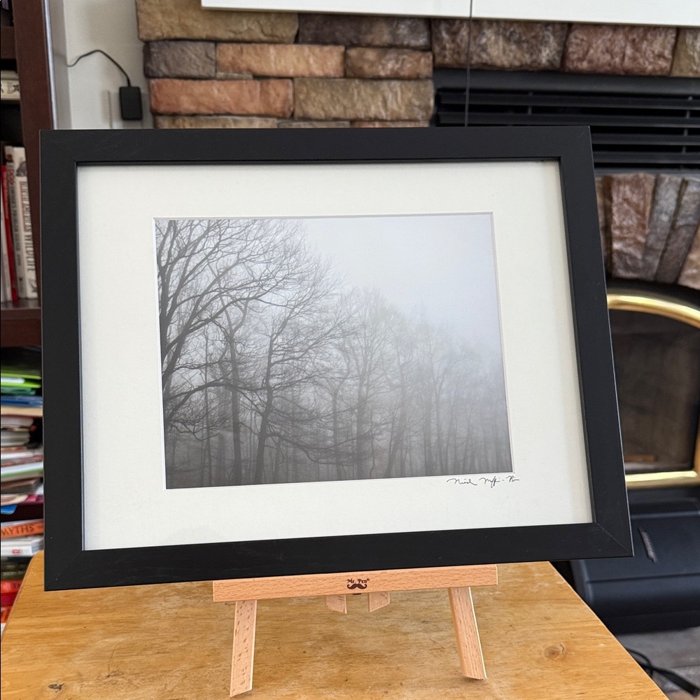 Framed Black and White Tree Photograph